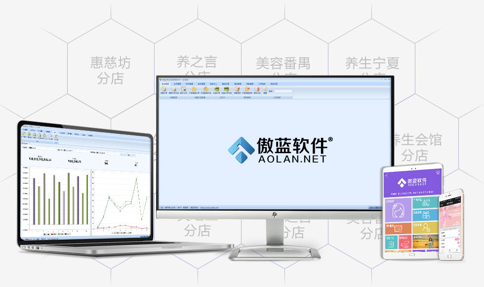 傲蓝美容管理软件
