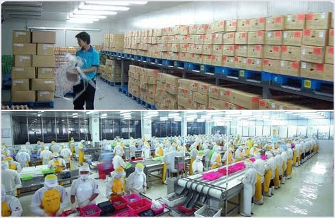 加工出入库，冷库管理软件