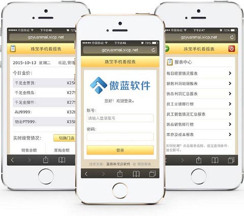 傲蓝手机看报表系统界面